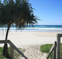 WAVES 203 ON CURRUMBIN - Local Tourism