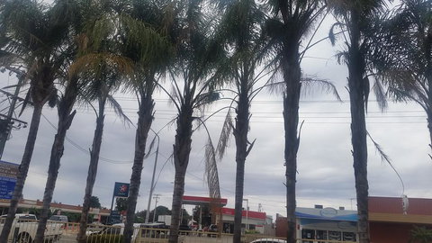 Wentworth Club Motel - Accommodation Australia 2