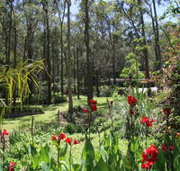 Werekataba - Australia Shopping