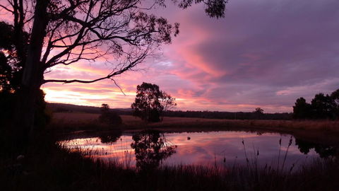 Wind Song Bed & Breakfast - Accommodation Australia 0