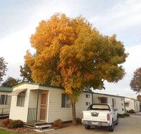 Wodonga Caravan  Cabin Park - Accommodation Australia