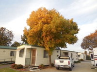 Book Wodonga Accommodation Vacations Accommodation Australia Accommodation Australia