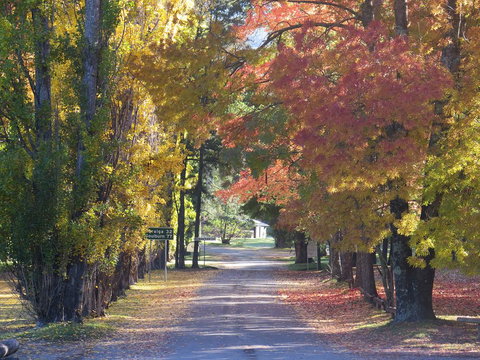 Wombeyan Caves - Australia Shopping 0