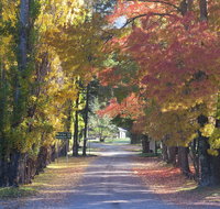 Wombeyan Caves - Australia Shopping