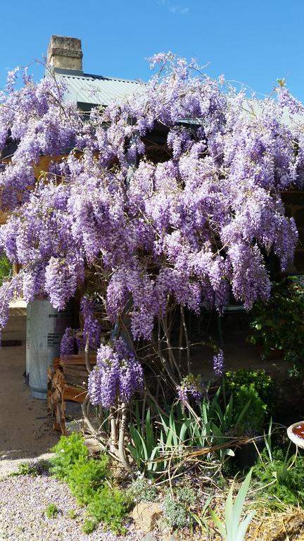 Woodvale At Cooma - Accommodation Australia 3
