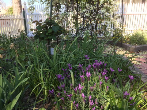 Yapera On Lucan - Accommodation Australia 2