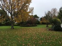 Yarragon Dairy Family Room