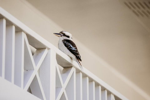 Yeppoon Surfside Motel - Australia Shopping 2