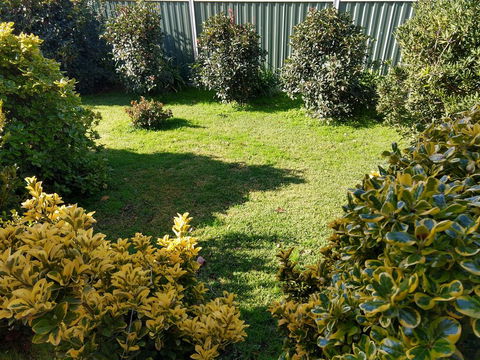 Young Goldrush Motel - Local Tourism 3