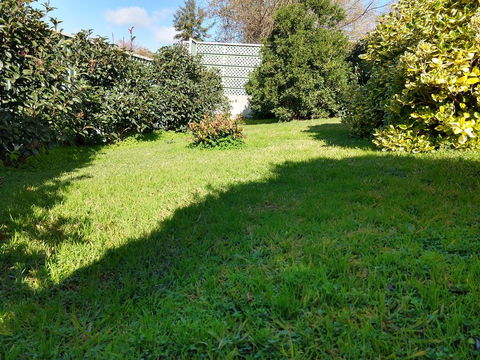 Young Goldrush Motel - Local Tourism 2