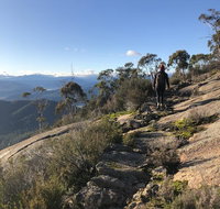 Yours and Theirs Pet Friendly Accommodation - Australia Shopping