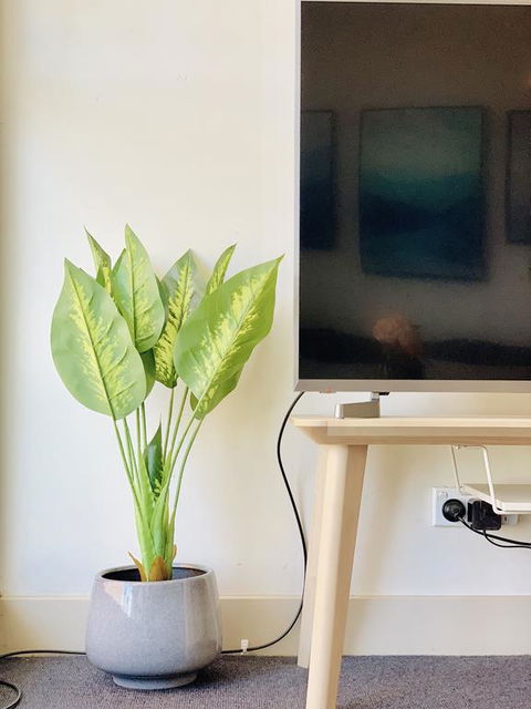 ZEN Homes On Collins - Accommodation Australia 3