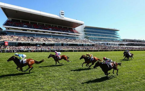 A Comfy & Cozy 2BR Apt Near Flemington Races - Accommodation Australia 2