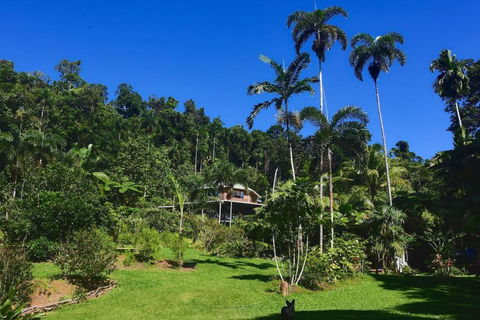 A Daintree Garden - Accommodation Australia 0