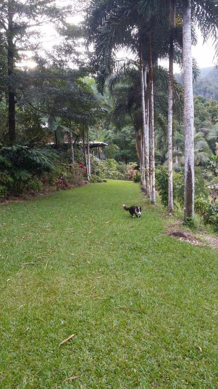 A Daintree Garden - Accommodation Australia 1