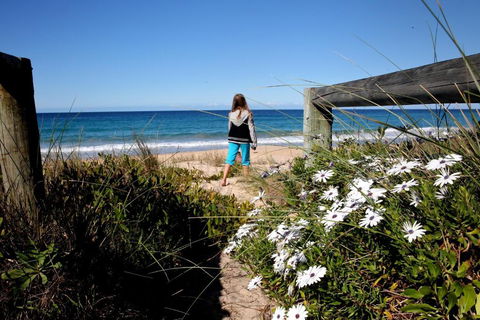 Absolute Beachfront Mollymook - Accommodation Australia 4