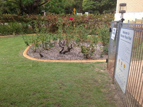 Affordable Inglewood Apartment+Pool - Accommodation Australia 4