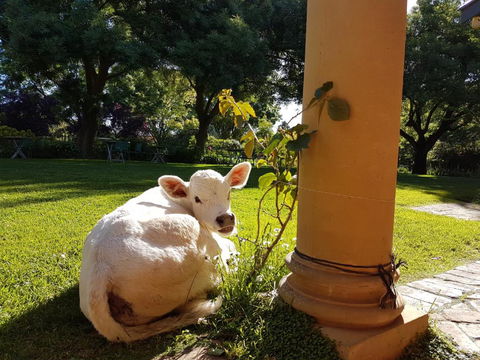 AL RU Farm - Accommodation Australia 3