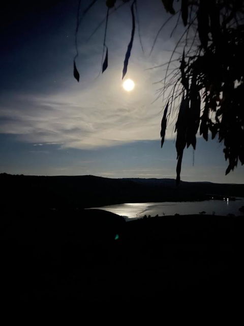 Amazing Views Pet Friendly Bed And Breakfast - Accommodation Australia 1
