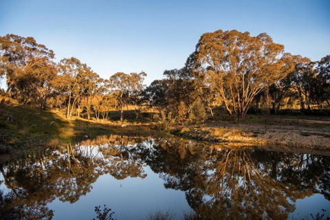 Amethyst - 1 Bed With Hot Tub - Kundalini Lodge - Accommodation Australia 3