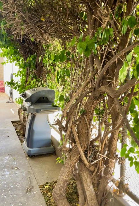 Argent Abode CBD - Accommodation Australia 1