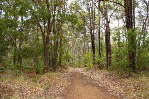 Ashleigh - In Town - Margaret River - Accommodation Australia 4