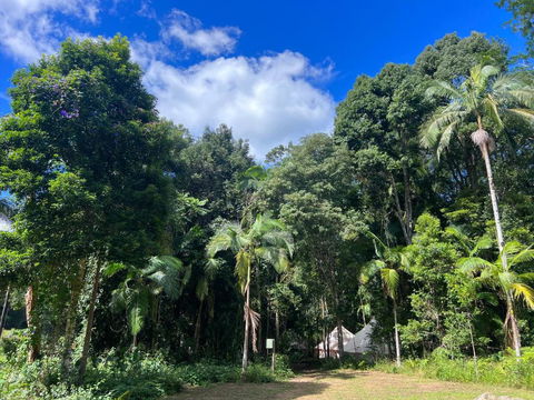 Avana Byron Glamping - Accommodation Australia 2