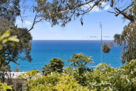 Avirgonia - Accommodation Australia 2