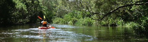 Absolute Waterfront - Australia Shopping 33