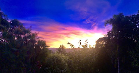 Daintree Manor B&B - Accommodation Australia 3
