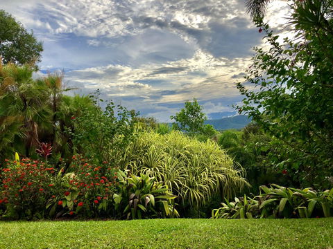 Daintree Manor B&B - Accommodation Australia 2