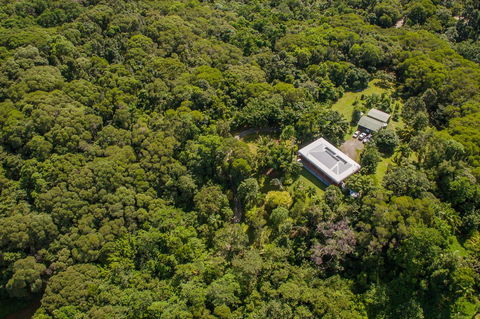 Daintree Manor B&B - Accommodation Australia 14