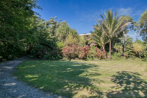 Daintree Manor B&B - Accommodation Australia 19