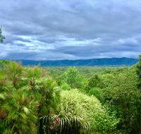 Daintree Manor BB - Local Tourism