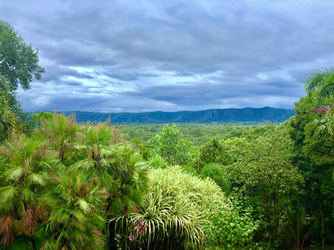 Daintree Manor B&B - Accommodation Australia 0