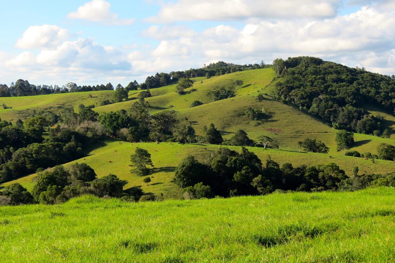 Reesville QLD Local Tourism