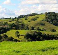 Maleny Springs Farm - Accommodation Australia
