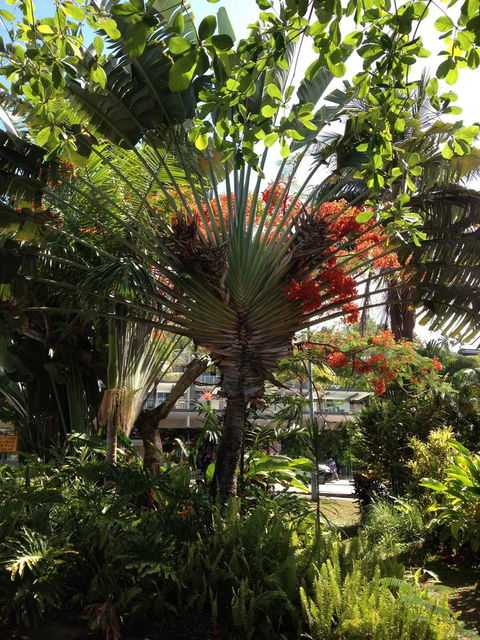Port Douglas Apartments - Adults Only Oasis - Accommodation Australia 39
