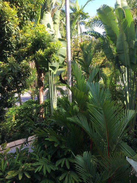 Port Douglas Apartments - Adults Only Oasis - Accommodation Australia 1