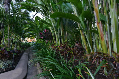 Port Douglas Apartments - Adults Only Oasis - Accommodation Australia 9