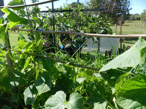 Hay Point Country BnB - Accommodation Australia 17