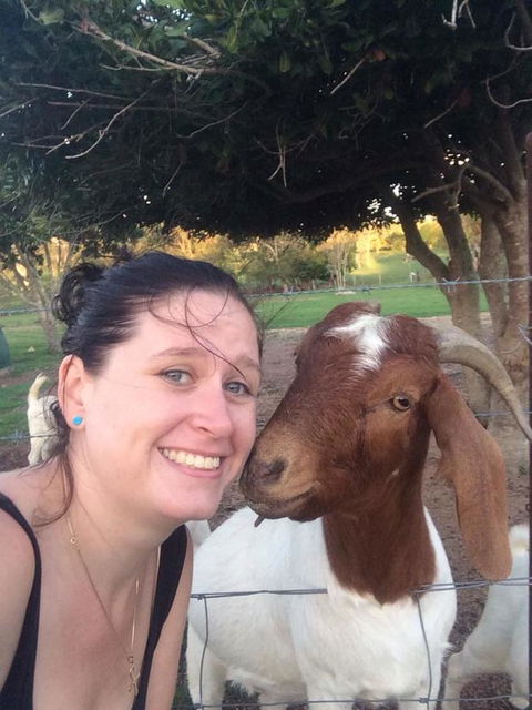 Hay Point Country BnB - Accommodation Australia 13