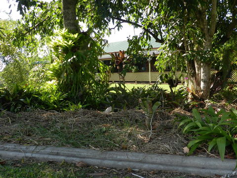 Hay Point Country BnB - Accommodation Australia 23