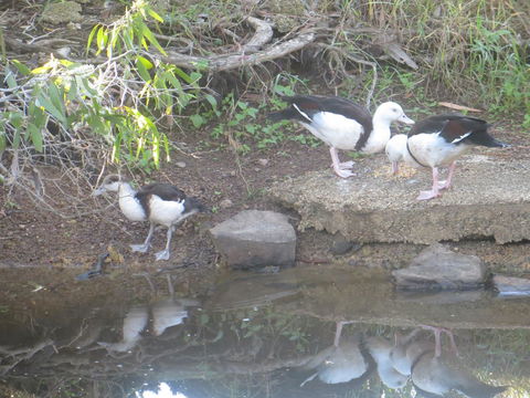 Hay Point Country BnB - Accommodation Australia 22