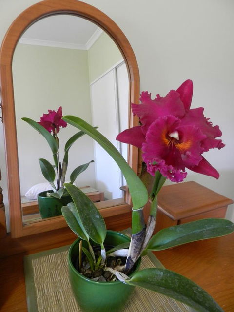 Hay Point Country BnB - Accommodation Australia 10