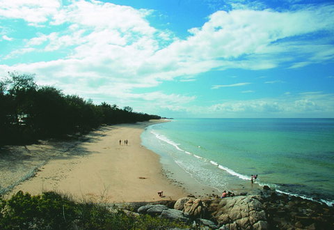 The Pines At Oak Beach - Local Tourism 3