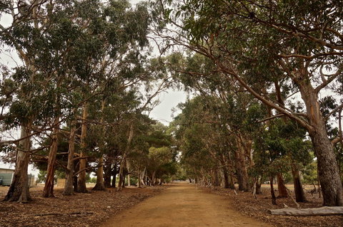 Hanson Bay Cabins - Australia Shopping 21
