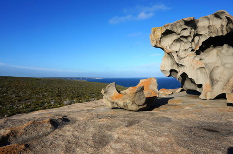 Hanson Bay Cabins - Australia Shopping 22