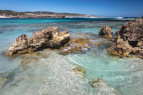 Hanson Bay Cabins - Australia Shopping 1