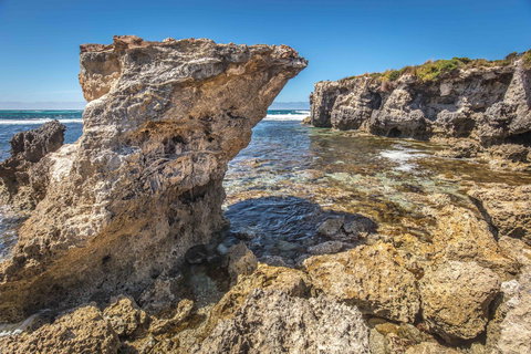 Hanson Bay Cabins - Australia Shopping 2